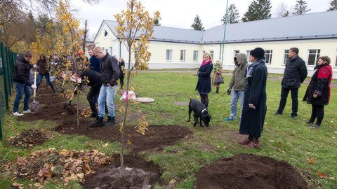 Десятый день рождения Силламяэского реабилитационного центра в 2015 году отметили посадкой деревьев.