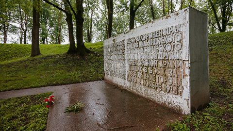Если этот памятник на лжемогиле в Темном саду не трогать, то со временем он разрушится сам собой. Однако это тоже плохо охарактеризует Нарву в плане отношения к настоящей истории и погибшим людям.