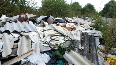 Думать, будто запрещающая сваливать мусор табличка помешает росту уже возникших залежей отходов, довольно наивно.