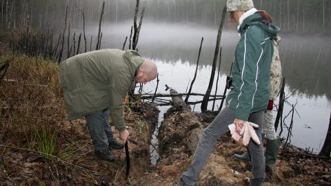 Не один год ученые измеряли уровень воды в водоемах Куртна только с помощью измерительной рейки и ленты. На этом фотоснимке происходит замер в Курадиярв (Пеэтер ЛИЛЛЕВЯЛИ/АРХИВ)
