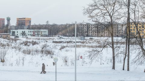 Территория будущего паркового торгового центра в Йыхви. (Фото: Матти КЯМЯРЯ/АРХИВ)