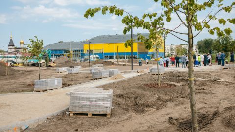 В будущем нарвском парке столетия республики у Нарвского спортхолла начала приживаться и расти роща деревьев народов Эстонии. (Фото: Илья СМИРНОВ)