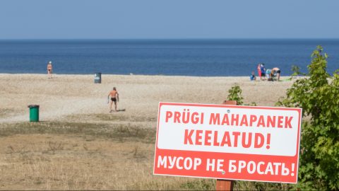 Среди окрестных жителей тойлаский пляж - крайне популярное место отдыха, но эти же самые отдыхающие, несмотря на наличие мусорных контейнеров, зачастую не утруждают себя элементарной уборкой мусора. (Фото: Матти КЯМЯРЯ)